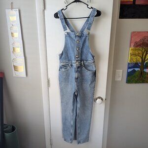 We the Free (Free People) Shelby Denim Button Front Jeans Overalls Size 29